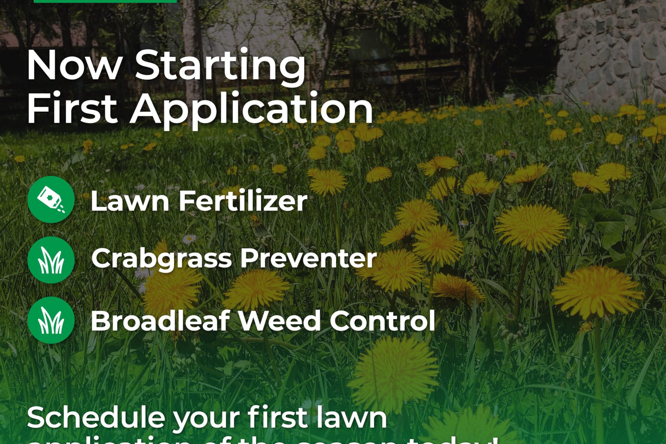 Mike’s Lawn Service Mike's Lawn Service