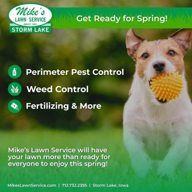 Mike's Lawn Service